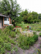 For sale:  land - Chepiliyivka village (10417-519) | Dom2000.com