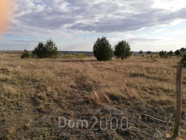 Продам земельный участок - с. Залужье (10500-555) | Dom2000.com