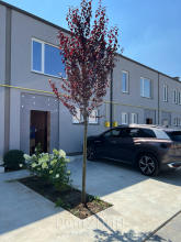 For sale:  home - Озерная str., Novi Petrivtsi village (9326-580) | Dom2000.com