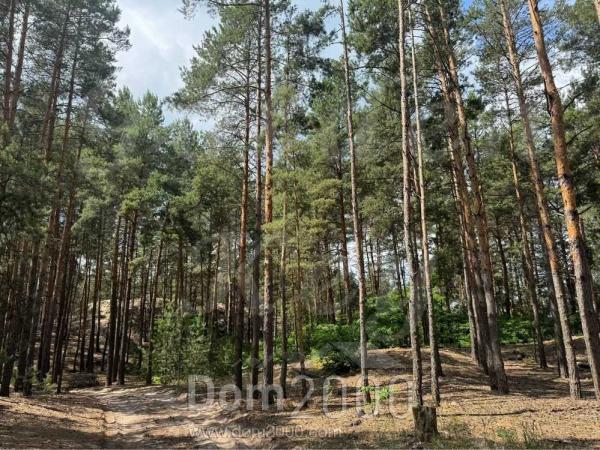 Продам земельный участок - с. Процев (10731-581) | Dom2000.com