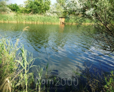 For sale:  land - Partizanske village (5119-593) | Dom2000.com