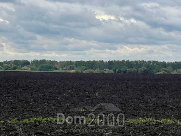 Продам земельный участок - с. Пески (10730-631) | Dom2000.com