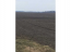 Продам земельну ділянку - м. Бобровиця (центр) (10730-638) | Dom2000.com #79039061