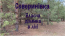 For sale:  land - Severinivka village (10725-655) | Dom2000.com #79017441