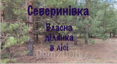 For sale:  land - Severinivka village (10725-655) | Dom2000.com