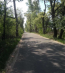For sale:  land - Severinivka village (10725-655) | Dom2000.com #79017448