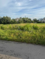 For sale:  land - Velika Oleksandrivka village (10725-658) | Dom2000.com #79017466