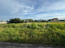 For sale:  land - Velika Oleksandrivka village (10725-658) | Dom2000.com #79017468