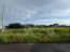 For sale:  land - Velika Oleksandrivka village (10725-658) | Dom2000.com #79017471