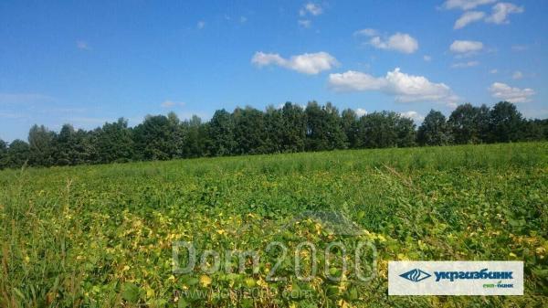 Продам земельну ділянку - с. Зозулі (10730-671) | Dom2000.com