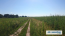 Продам земельну ділянку - с. Зозулі (10730-671) | Dom2000.com #79039170