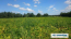 Продам земельну ділянку - с. Зозулі (10730-671) | Dom2000.com #79039171