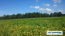Продам земельну ділянку - с. Зозулі (10730-671) | Dom2000.com #79039172