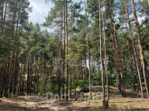 For sale:  land - Protsiv village (10725-675) | Dom2000.com