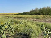Продам земельный участок - с. Соколовское (10730-681) | Dom2000.com