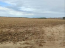 For sale:  land - Nalivaykivka village (10730-686) | Dom2000.com #79039262