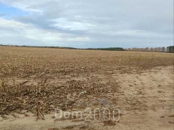 For sale:  land - Nalivaykivka village (10730-686) | Dom2000.com