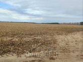 For sale:  land - Nalivaykivka village (10730-686) | Dom2000.com