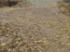 For sale:  land - Nalivaykivka village (10730-686) | Dom2000.com #79039263