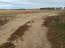 For sale:  land - Nalivaykivka village (10730-686) | Dom2000.com #79039264