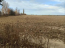For sale:  land - Nalivaykivka village (10730-686) | Dom2000.com #79039265