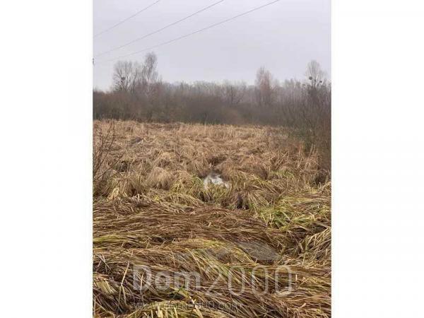 Продам земельну ділянку - с. Головурів (10729-693) | Dom2000.com