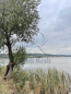 Продам будинок - вул. Озерна вулиця, 3А, с. Ходосівка (10731-722) | Dom2000.com #79044607