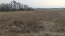 For sale:  land - Kolonschina village (10725-726) | Dom2000.com #79017960
