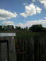 For sale:  land - Fenevichi village (10661-728) | Dom2000.com #78088023