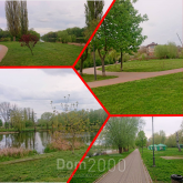 For sale:  land - Bilotserkivskiy rayon (10667-731) | Dom2000.com
