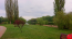 For sale:  land - Bilotserkivskiy rayon (10667-731) | Dom2000.com #78143031