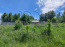 For sale:  land - Glibivka village (10731-731) | Dom2000.com #79044679