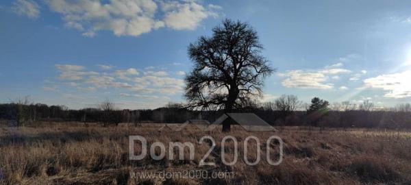 Продам земельну ділянку - с. Сошників (10730-734) | Dom2000.com