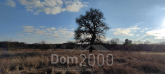 Продам земельну ділянку - с. Сошників (10730-734) | Dom2000.com