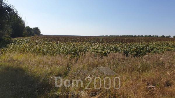 Продам земельный участок - с. Большая Солтановка (10730-749) | Dom2000.com