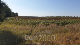 Продам земельный участок - с. Большая Солтановка (10730-749) | Dom2000.com