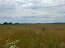 For sale:  land - Golovuriv village (10731-760) | Dom2000.com #79044894