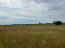 For sale:  land - Golovuriv village (10731-760) | Dom2000.com #79044895