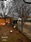 For sale:  home - Симоненко (Калинина) str., Bila Tserkva city (10721-761) | Dom2000.com #78988914