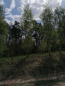 For sale:  home - Попівка str., Chernin village (10730-765) | Dom2000.com #79039758