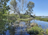 Продам земельну ділянку - с. Вороньків (10730-774) | Dom2000.com