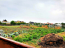 For sale:  land - Shkarivka village (9551-776) | Dom2000.com #66013529