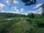 For sale:  home - Lisniki village (10678-797) | Dom2000.com #78252120