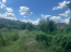 For sale:  home - Lisniki village (10678-797) | Dom2000.com #78252121