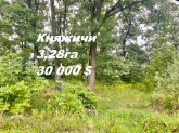 Продам земельный участок - с. Княжичи (10602-799) | Dom2000.com