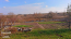 For sale:  home - Набережная str., Mala Skvirka village (10721-804) | Dom2000.com #78989282