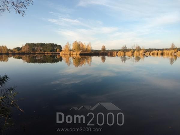 For sale:  land - Druzhnya village (10536-830) | Dom2000.com