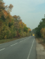 For sale:  land - Luka village (4685-839) | Dom2000.com #73895503