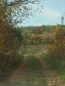 For sale:  land - Luka village (4685-839) | Dom2000.com #73895506