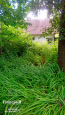 For sale:  land - Bila Tserkva city (10669-850) | Dom2000.com #78164250